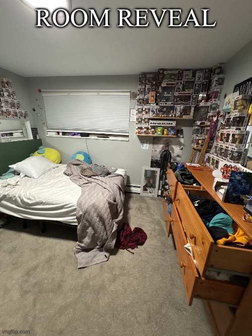 IMG_2342.jpeg | Room reveal | image tagged in img_2342 jpeg | made w/ Imgflip meme maker