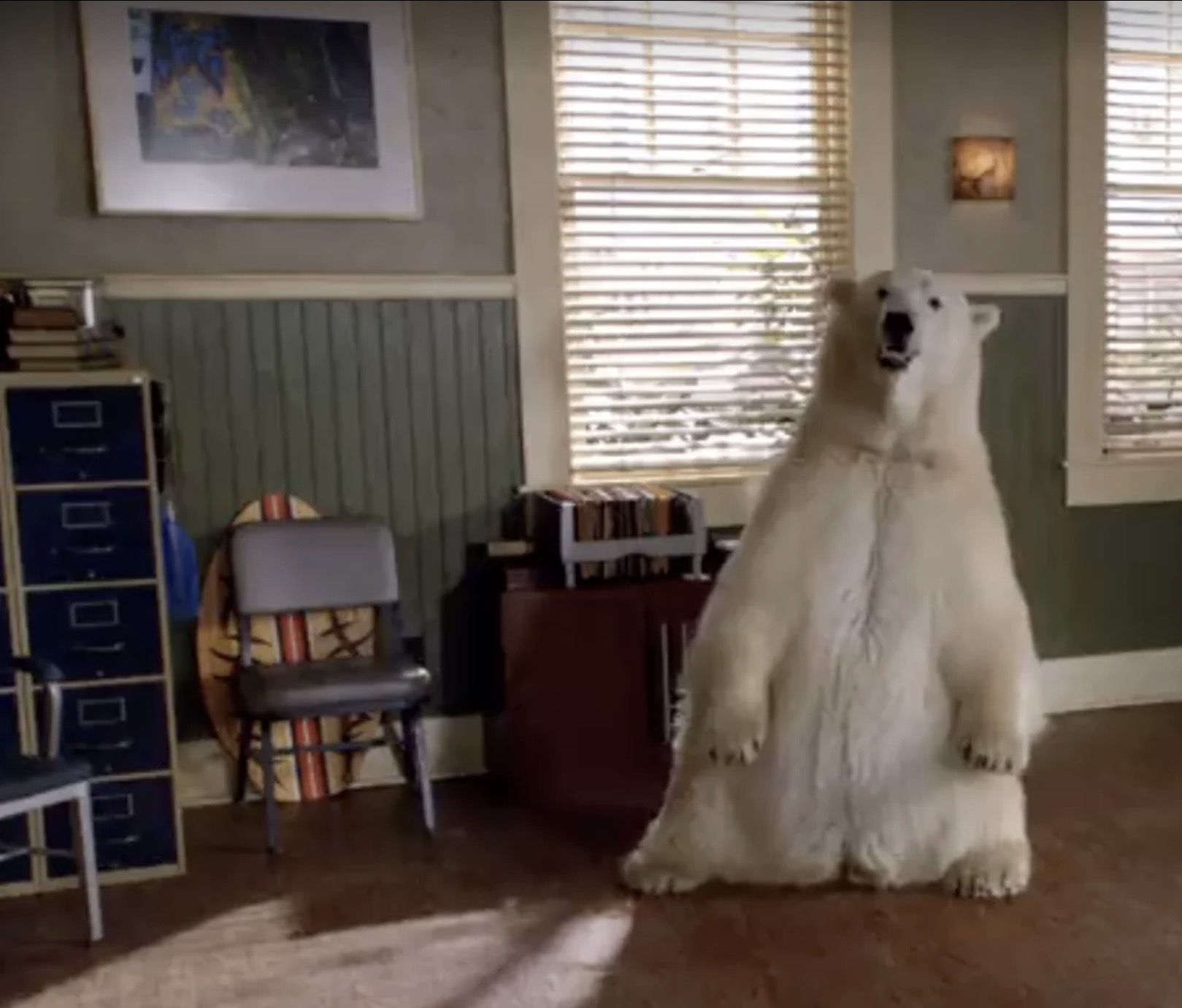 Psych Bear Blank Meme Template