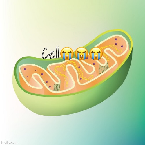 Mitochondria is the powerhouse of the cell | Cell😭😭😭 | image tagged in mitochondria is the powerhouse of the cell | made w/ Imgflip meme maker