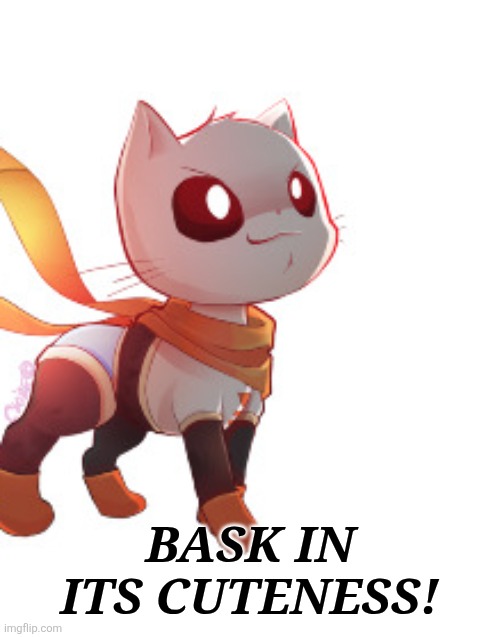 47m69c.jpg | BASK IN ITS CUTENESS! | image tagged in 47m69c jpg | made w/ Imgflip meme maker