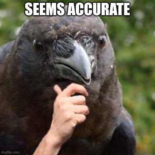 Seems Accurate | Seems accurate | image tagged in seems accurate | made w/ Imgflip meme maker