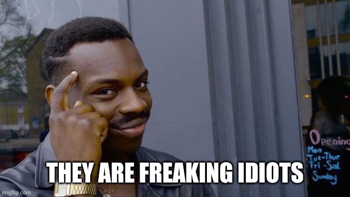 Roll Safe Think About It Meme | They are freaking idiots | image tagged in memes,roll safe think about it | made w/ Imgflip meme maker