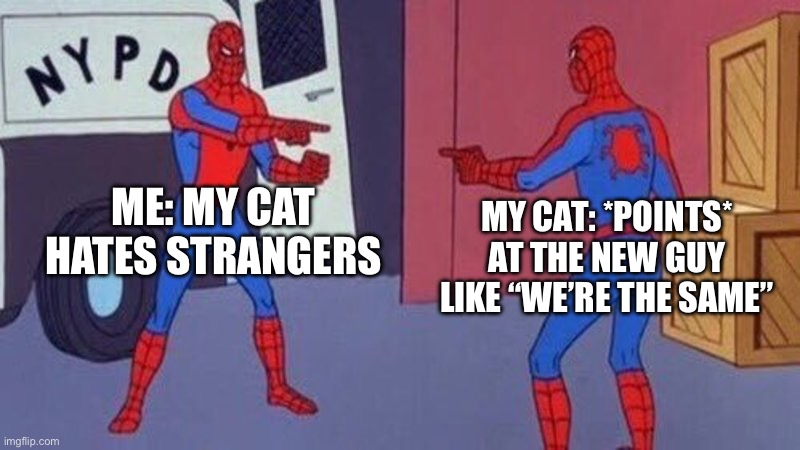 Just search AI on the meme generator | me: my cat hates strangers; my cat: *points* at the new guy like “we’re the same” | image tagged in spiderman pointing at spiderman | made w/ Imgflip meme maker