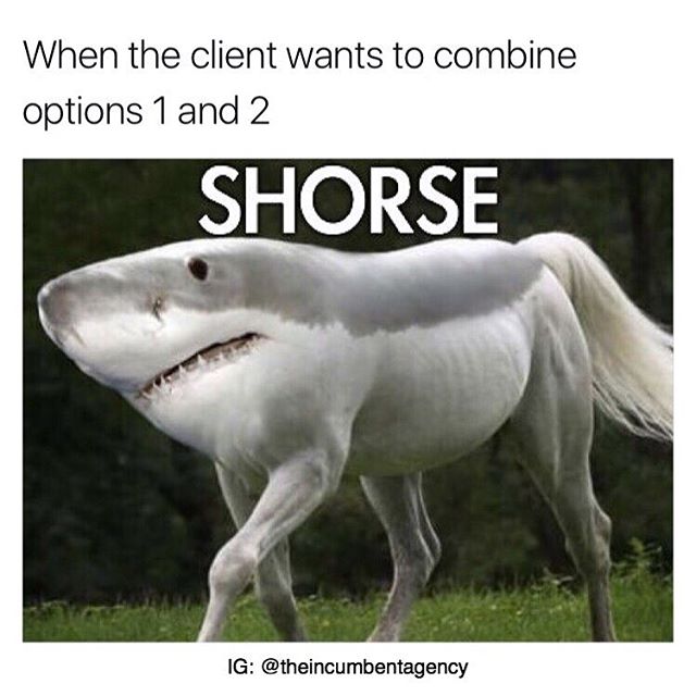 Shorse Blank Meme Template