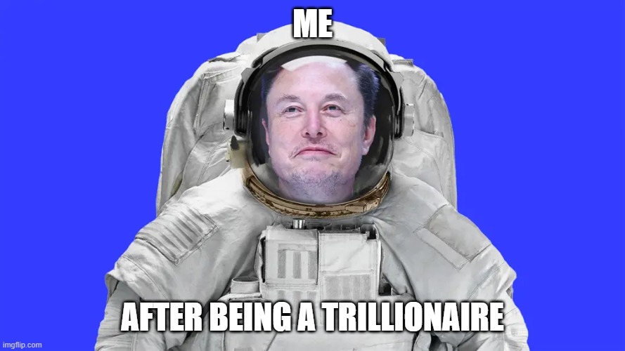 COOL LIFE | ME; after being a trillionaire | image tagged in elon musk | made w/ Imgflip meme maker