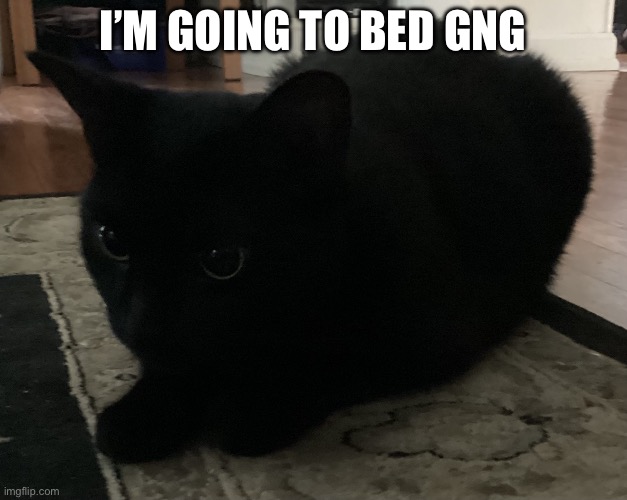 Gn, it is 11:39 PM for me btw | I’m going to bed Gng | image tagged in kitty 3 | made w/ Imgflip meme maker