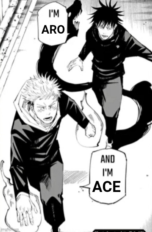 People would unironically name there kids aro and ace nowadays | ARO; ACE | image tagged in jjk,aroace,lobotomy,jujutsu kaisen | made w/ Imgflip meme maker