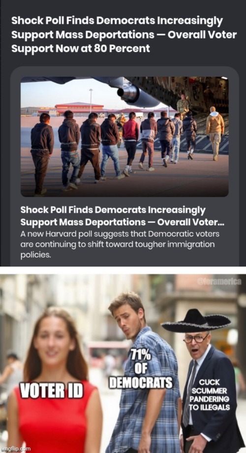 80% of Democrats want Voter ID. Cuck Scummer don't care | image tagged in screenshot_20260614_000848_chrome jpg,election fraud,chuck schumer | made w/ Imgflip meme maker