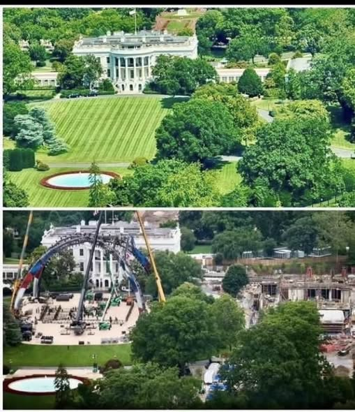 Trump has turned the White House into a garbage dump Blank Meme Template