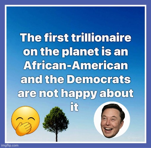 First trillionaire makes pinkos unhappy | image tagged in img 10 jpeg,elon musk | made w/ Imgflip meme maker