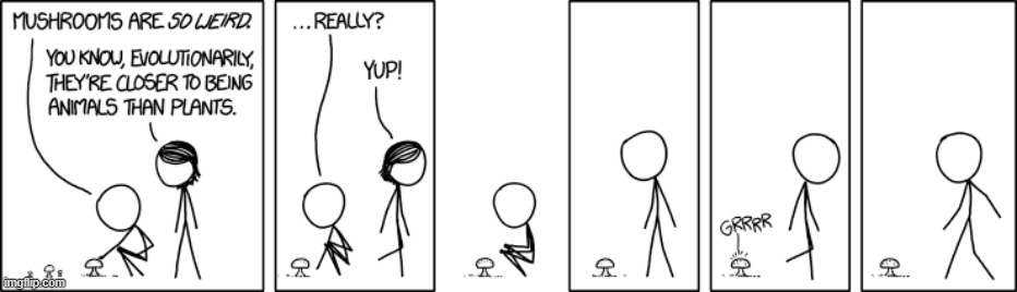 "Evolutionarily speaking, mushrooms are technically a type of ghost." | image tagged in mushrooms,weird,plants,animals,growl,wait what | made w/ Imgflip meme maker