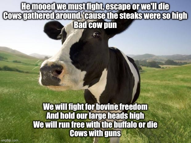 The Steaks were so High | He mooed we must fight, escape or we'll die
Cows gathered around, 'cause the steaks were so high
Bad cow pun; We will fight for bovine freedom
And hold our large heads high
We will run free with the buffalo or die
Cows with guns | image tagged in cow,high,steak,cows,guns | made w/ Imgflip meme maker