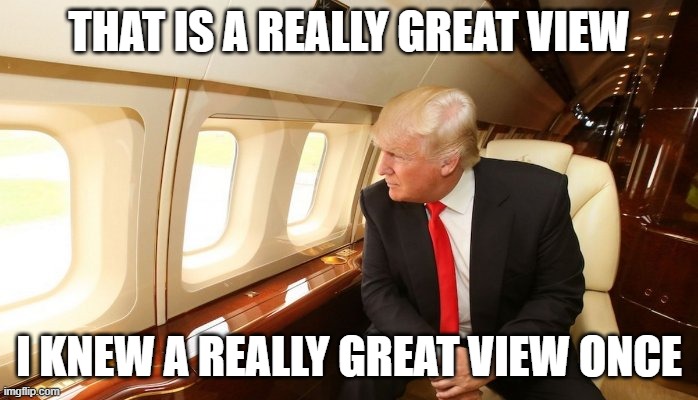 window | that is a really great view; i knew a really great view once | image tagged in donald-trump-aeroplane | made w/ Imgflip meme maker