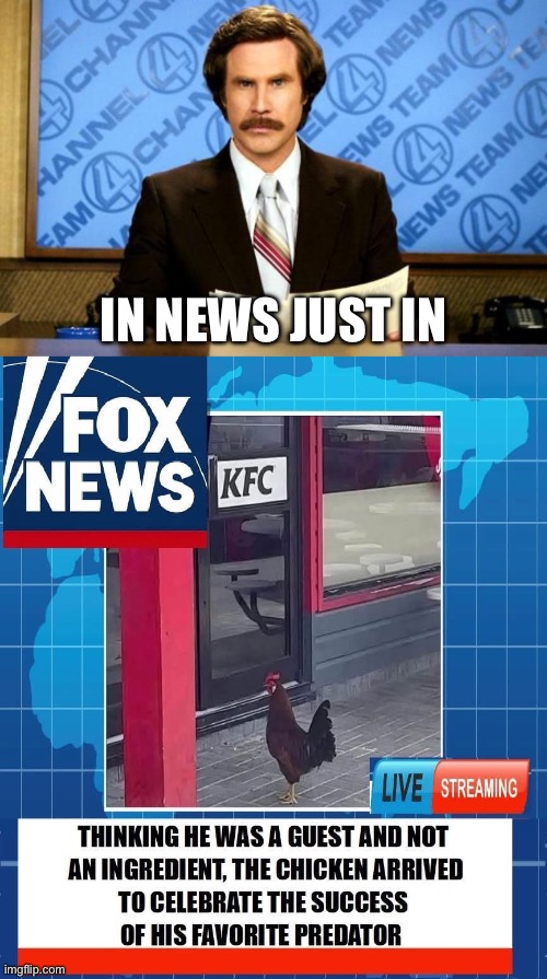 Not Chicken | In news just in | image tagged in breaking news,img_6270 jpeg,kfc,news,chicken | made w/ Imgflip meme maker