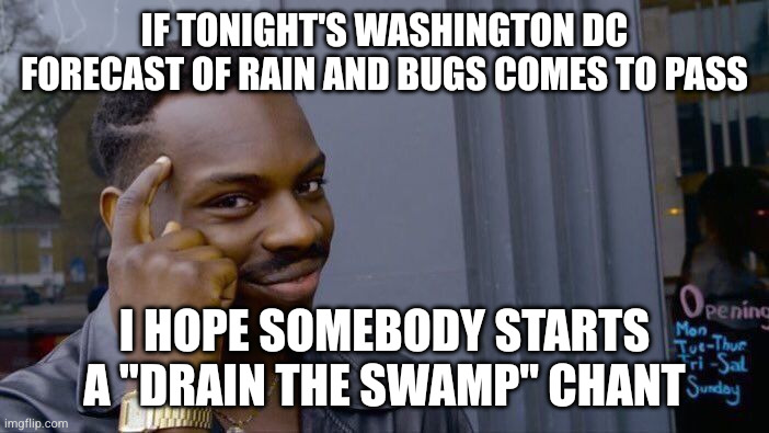 Roll Safe Think About It Meme | If tonight's Washington DC forecast of rain and bugs comes to pass; I hope somebody starts a "drain the swamp" chant | image tagged in memes,roll safe think about it | made w/ Imgflip meme maker