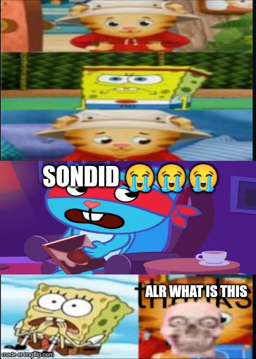 I had a stroke | SONdid 😭😭😭; Alr what is this | image tagged in i had a stroke | made w/ Imgflip meme maker