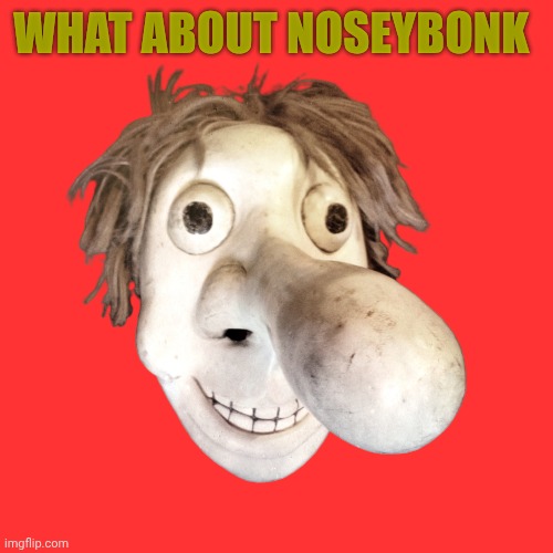 Noseybonk | What about noseybonk | image tagged in noseybonk | made w/ Imgflip meme maker