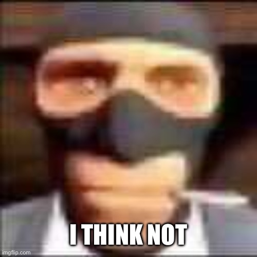 spi | i think not | image tagged in spi | made w/ Imgflip meme maker