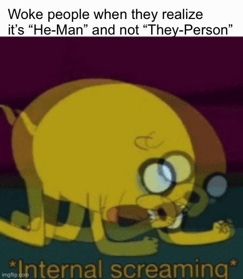 Jake The Dog Internal Screaming | Woke people when they realize it’s “He-Man” and not “They-Person” | image tagged in jake the dog internal screaming | made w/ Imgflip meme maker