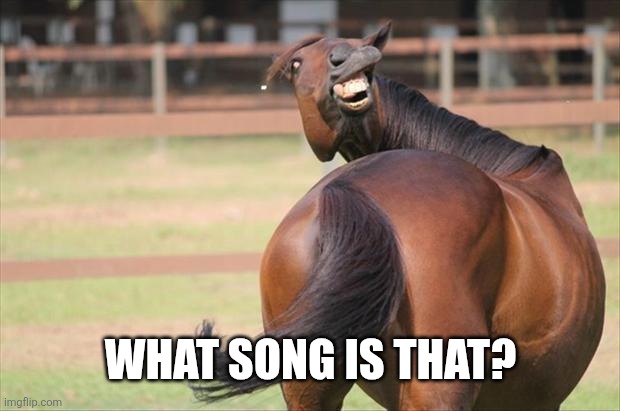 funny horse | What song is that? | image tagged in funny horse | made w/ Imgflip meme maker