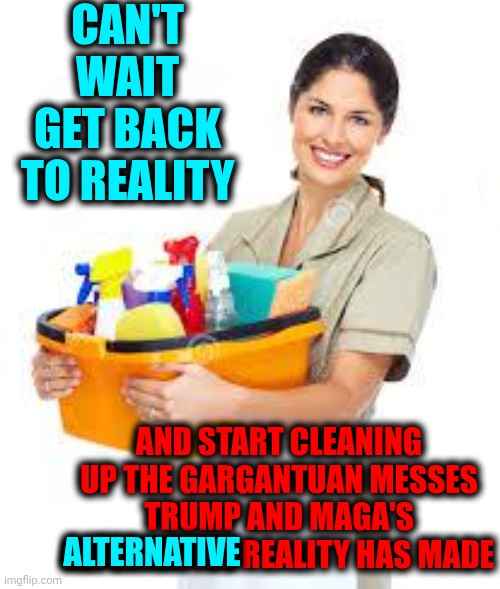 We're Going To Need A LOT Of Bleach To Remove The Smell And The Stains | Can't wait get back to reality; and start cleaning up the gargantuan messes Trump and Maga's alternative reality has made; alternative | image tagged in memes,impeach trump,alternative facts,lock him up,trump is maga's mess,clean up | made w/ Imgflip meme maker