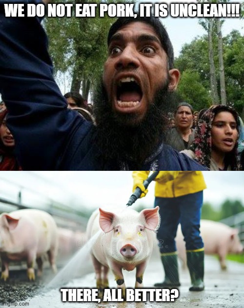 Don't Eat the Pork | we do not eat pork, it is unclean!!! there, all better? | image tagged in angry muslim | made w/ Imgflip meme maker