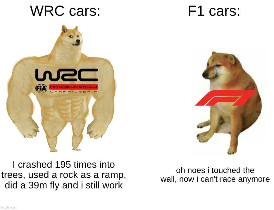 Buff Doge vs. Cheems Meme | WRC cars:; F1 cars:; I crashed 195 times into trees, used a rock as a ramp, did a 39m fly and i still work; oh noes i touched the wall, now i can't race anymore | image tagged in memes,buff doge vs cheems | made w/ Imgflip meme maker