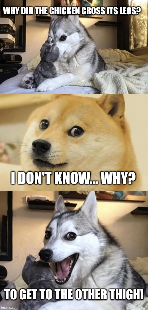 Skinless | Why did the chicken cross its legs? I don't know... Why? To get to the other thigh! | image tagged in doge,dogs,husky | made w/ Imgflip meme maker