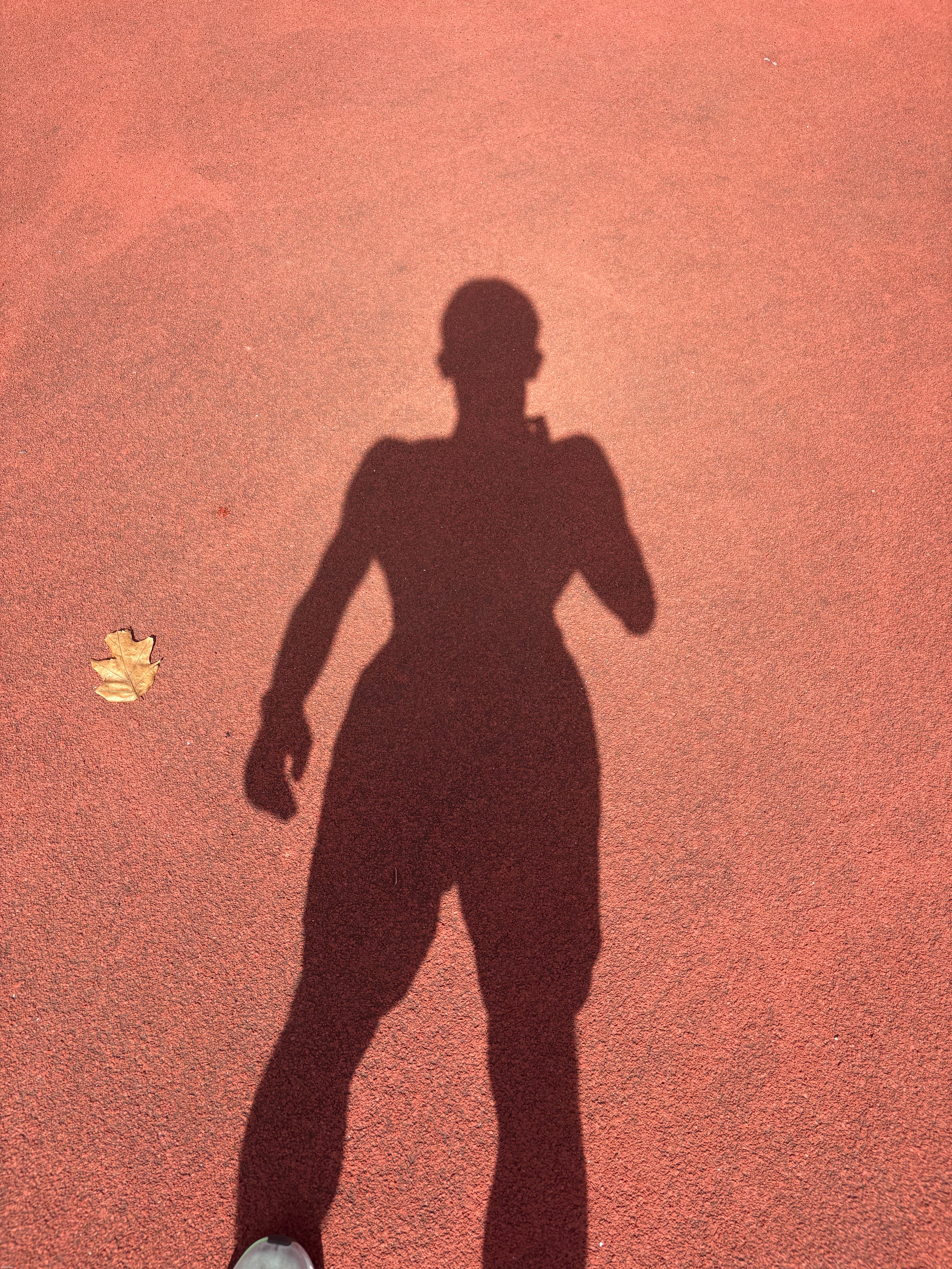 My silhouette | image tagged in face reveal | made w/ Imgflip meme maker