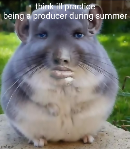 son | think ill practice being a producer during summer | image tagged in son | made w/ Imgflip meme maker