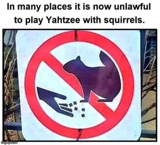 Another weird sign! | image tagged in repost,squirrels,yahtzee,sign | made w/ Imgflip meme maker