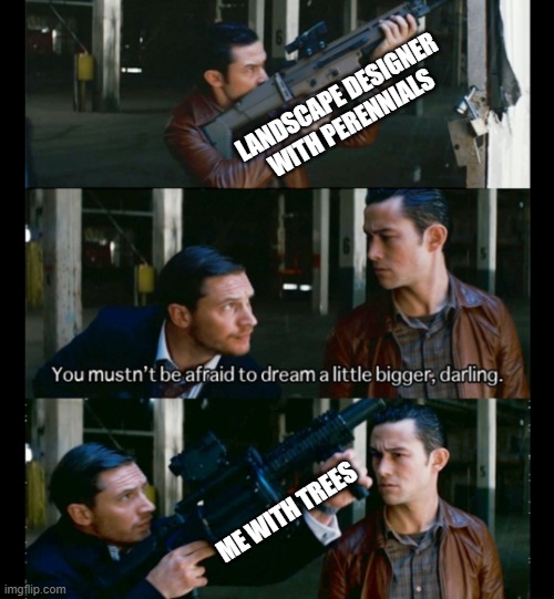 You mustn't be afraid to dream a little bigger, darling | landscape designer with perennials; me with trees | image tagged in you mustn't be afraid to dream a little bigger darling | made w/ Imgflip meme maker