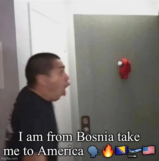 floating among us | I am from Bosnia take me to America 🗣️🔥🇧🇦🛫🇺🇸 | image tagged in floating among us | made w/ Imgflip meme maker
