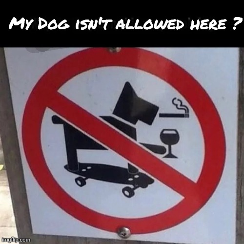 My Dog isn't allowed here ? | made w/ Imgflip meme maker