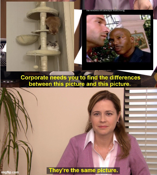 They're The Same Picture Meme | image tagged in memes,they're the same picture | made w/ Imgflip meme maker