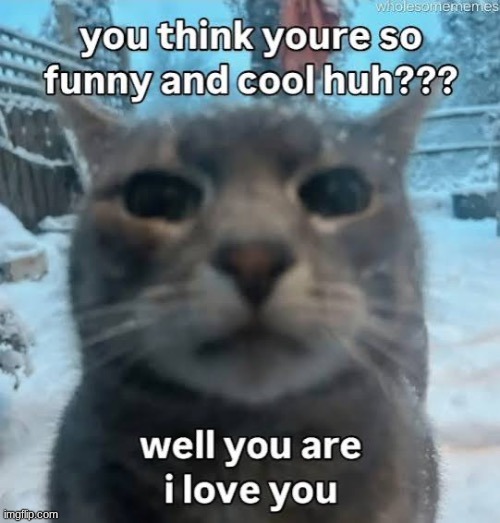 at404k.jpg | image tagged in at404k jpg | made w/ Imgflip meme maker
