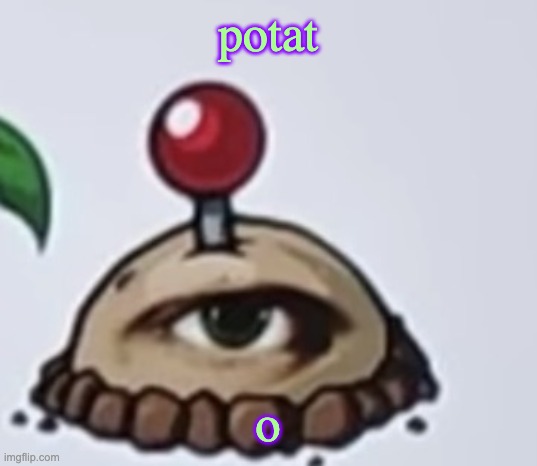 larpienta | potat; o | image tagged in the potato | made w/ Imgflip meme maker
