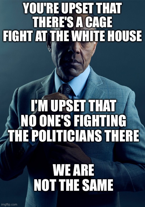 Gus Fring we are not the same | You're upset that there's a cage fight at the White House; I'm upset that no one's fighting the politicians there; We are not the same | image tagged in gus fring we are not the same | made w/ Imgflip meme maker