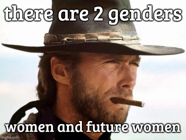 Clint Eastwood  | there are 2 genders; women and future women | image tagged in clint eastwood | made w/ Imgflip meme maker
