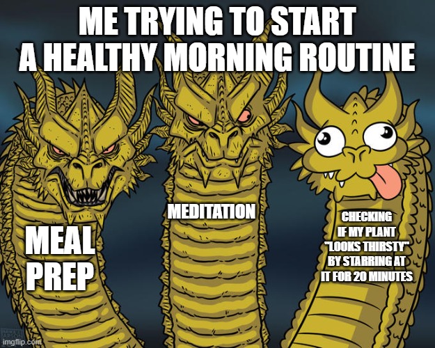 Morning Routine | ME TRYING TO START A HEALTHY MORNING ROUTINE; MEDITATION; CHECKING IF MY PLANT "LOOKS THIRSTY" BY STARRING AT IT FOR 20 MINUTES; MEAL PREP | image tagged in three-headed dragon | made w/ Imgflip meme maker