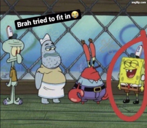 brah tried to fit in | image tagged in brah tried to fit in | made w/ Imgflip meme maker