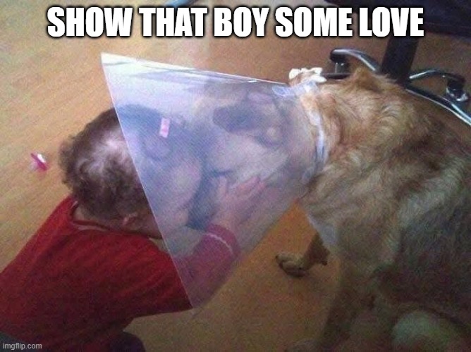 Dog Cone | show that boy some love | image tagged in dogs | made w/ Imgflip meme maker