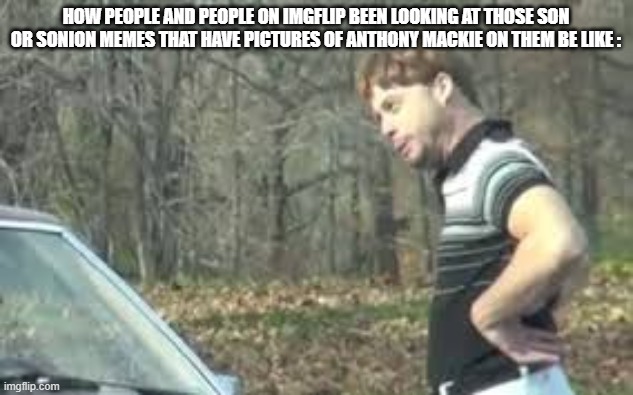 This Is Too Accurate What The What | how people and people on imgflip been looking at those son or sonion memes that have pictures of anthony Mackie on them be like : | image tagged in just look at it,true,facts,right | made w/ Imgflip meme maker