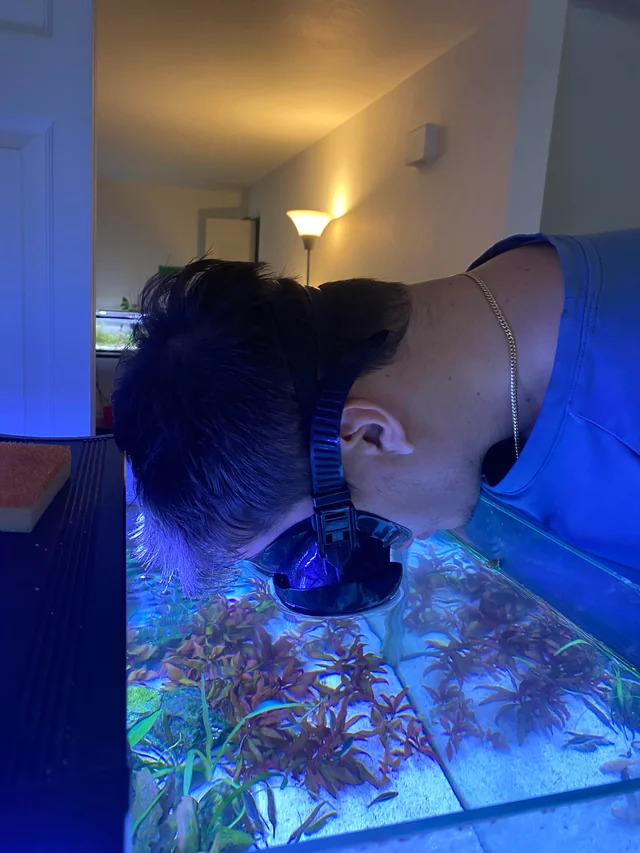 Fish tank Blank Meme Template
