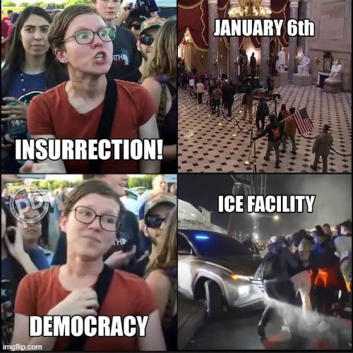 Insane. | image tagged in memes,funny,democracy,politics,political meme | made w/ Imgflip meme maker