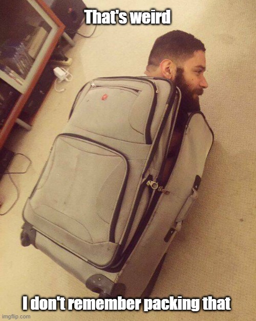 Baggage Check | That's weird; I don't remember packing that | image tagged in suitcase,tsa,airport,not my bag | made w/ Imgflip meme maker