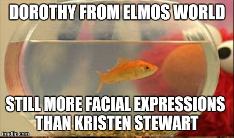 I know Kristen Stewart is old news, but I just thought of this meme | DOROTHY FROM ELMOS WORLD STILL MORE FACIAL EXPRESSIONS THAN KRISTEN STEWART | image tagged in memes | made w/ Imgflip meme maker