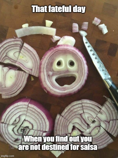 I'm Not Crying | That fateful day; When you find out you are not destined for salsa | image tagged in onion,crying,salsa,food | made w/ Imgflip meme maker