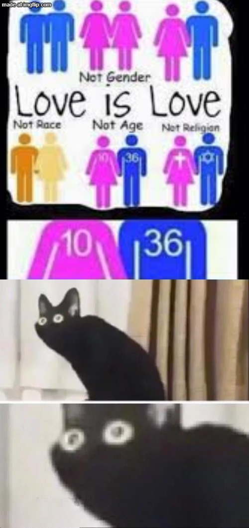 uhm what the he- | image tagged in oh no black cat,love is love,what the hell,stary_nova,why did i make this,oh wow are you actually reading these tags | made w/ Imgflip meme maker