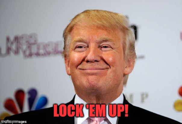Lock 'em up! | image tagged in donald trump approves | made w/ Imgflip meme maker